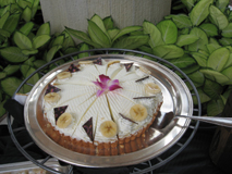 Kuchen Rezepte